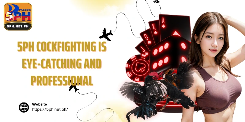 5PH cockfighting is eye-catching and professional